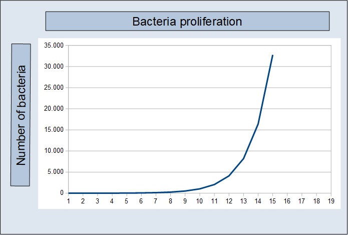 bacteria proliferation